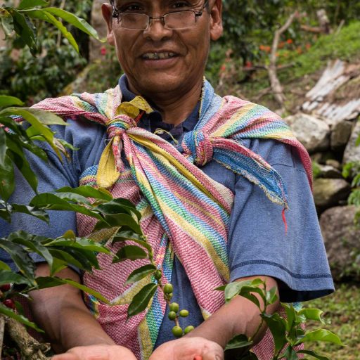 Enrique Álvarez Dávalos,  Lucumabamba, Sta Teresa.

Flor de Café